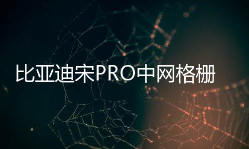 比亚迪宋PRO中网格栅外观改装件宋PLUS爆改前脸专用装饰亮条配件