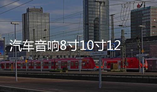 汽车音响8寸10寸12寸低音喇叭空木箱车载试音箱迷宫箱雪花绒炮箱